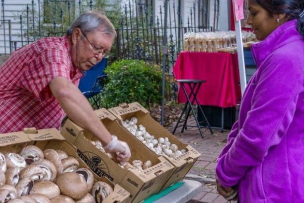 a person sitting at a table with a cake