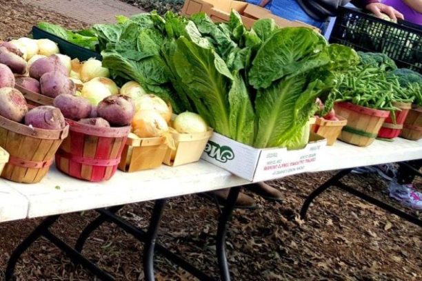 a table topped with lots of fresh produce