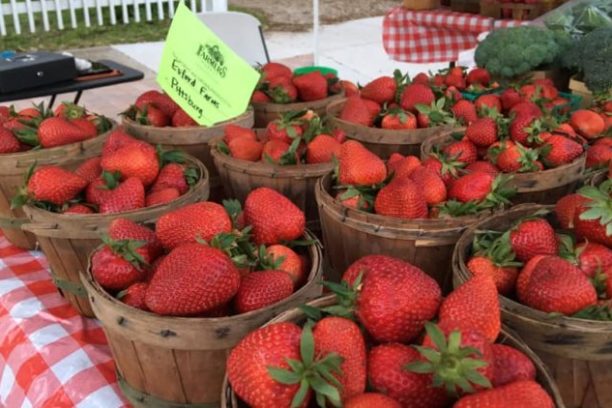 a group of fruit and vegetable stand